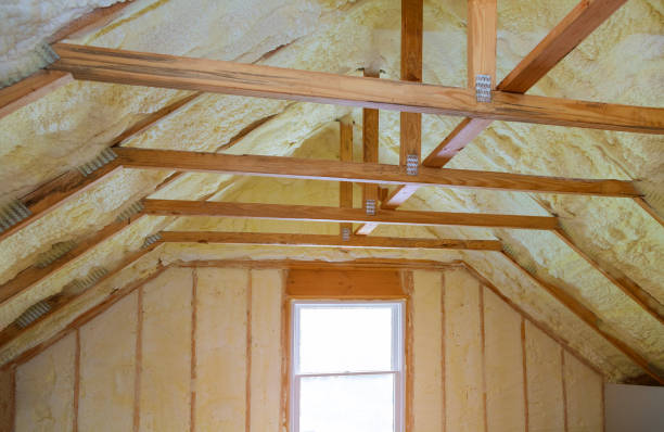 Best Cellulose Insulation  in Decatur, GA